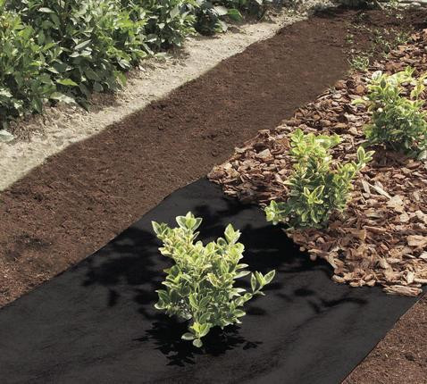 Mágnes henger D25X3MM #14