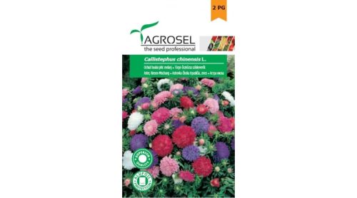 Vetőmag őszirózsa törpe szk. Agrosel