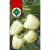 Vetőmag paprika Táltos 1 g ZKI