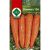 Vetőmag sárgarépa Danwers 126 5 g ZKI