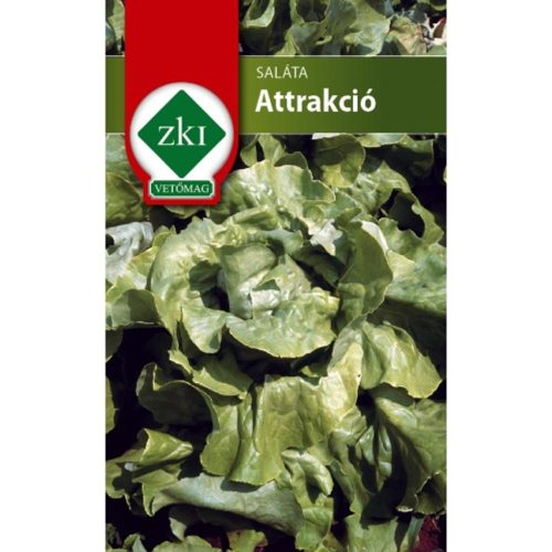 Vetőmag saláta Attrakció 2 g ZKI