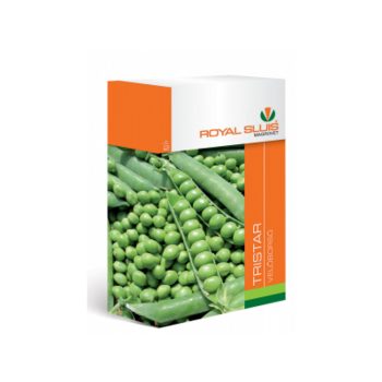 Vetőmag borsó Tristar 250 g Royal