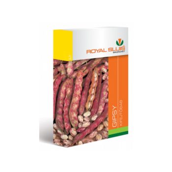 Vetőmag bab Gipsy 65/75 g Royal