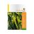 Vetőmag paprika Édes spirál F1 0,4 g Roy