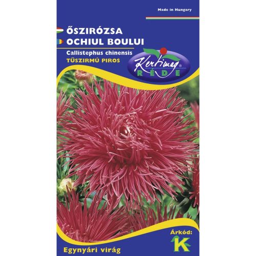 Vetőmag őszirózsa tűszirmú piros Rédei K