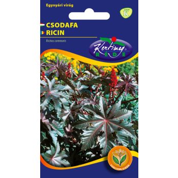 Vetőmag csodafa (ricinus) fáklya Rédei K