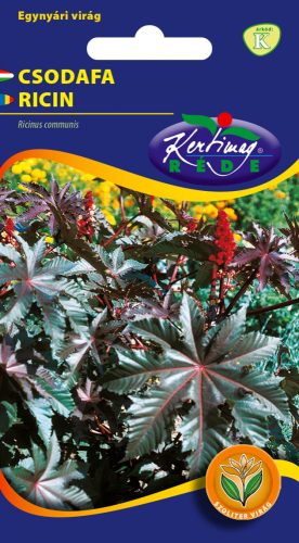 Vetőmag csodafa (ricinus) fáklya Rédei K