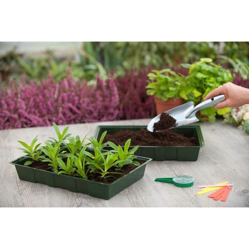 Csíráztató tálca m 5,5 cm x 35 x 23,5 cm, 5db/csomag